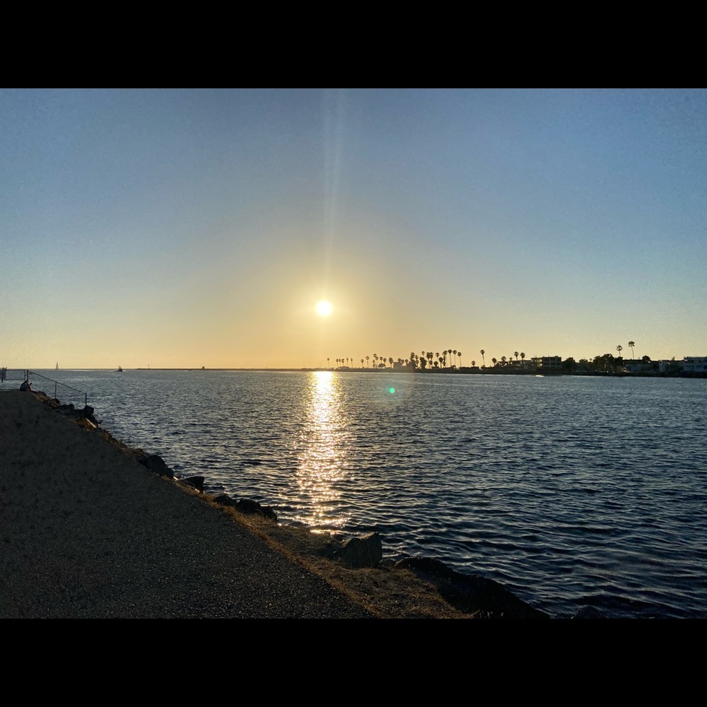 Meet your Posher, Em